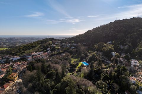 Landsbyhus i Sintra, Lisbon, Sintra - € 16.500.000 | Ref: W-02WJ84 - foto 38